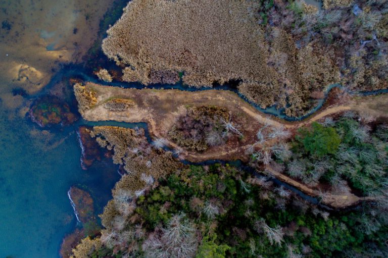 Photo Innowacyjne Źródła Dochodu: Niekonwencjonalne Sposoby na Zarabianie Pieniędzy