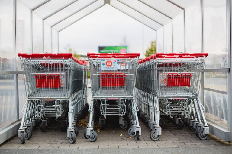 Photo Grocery shopping