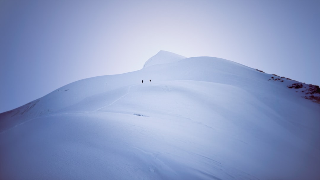 Photo High-yield bonds