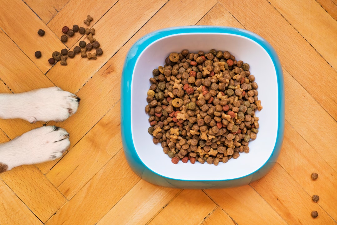 Photo Pet food